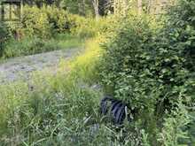 41 MINTHA STREET | Madawaska Valley Ontario | Slide Image Three