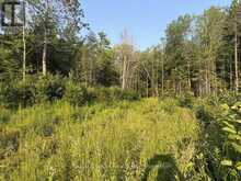 41 MINTHA STREET | Madawaska Valley Ontario | Slide Image Four