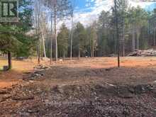41 MINTHA STREET | Madawaska Valley Ontario | Slide Image Six