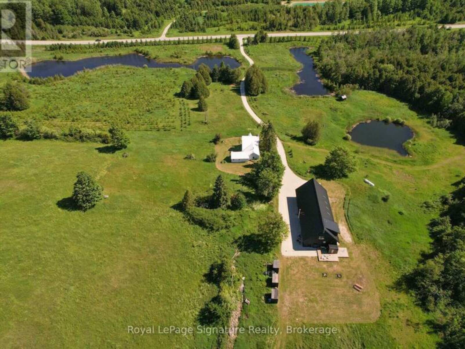 469319 GREY RD 31 ROAD, Grey Highlands, Ontario N0C 1M0