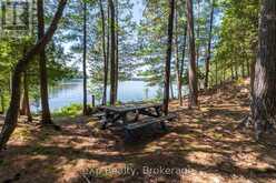 85 SOUTH SHORE, LAKE PANACHE | Greater Sudbury Ontario | Slide Image Eight