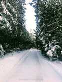 125 PARADISE BAY ROAD | Meaford Ontario | Slide Image Thirty-eight