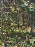 2A PT LT 12 CON 2 BOUNDARY ROAD | Parry Sound Ontario | Slide Image Two
