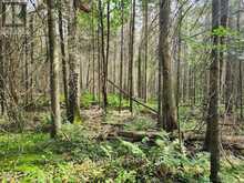 1A PT LT 12 CON 2 BOUNDARY ROAD | Parry Sound Ontario | Slide Image Two