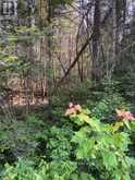1A PT LT 12 CON 2 BOUNDARY ROAD | Parry Sound Ontario | Slide Image Three