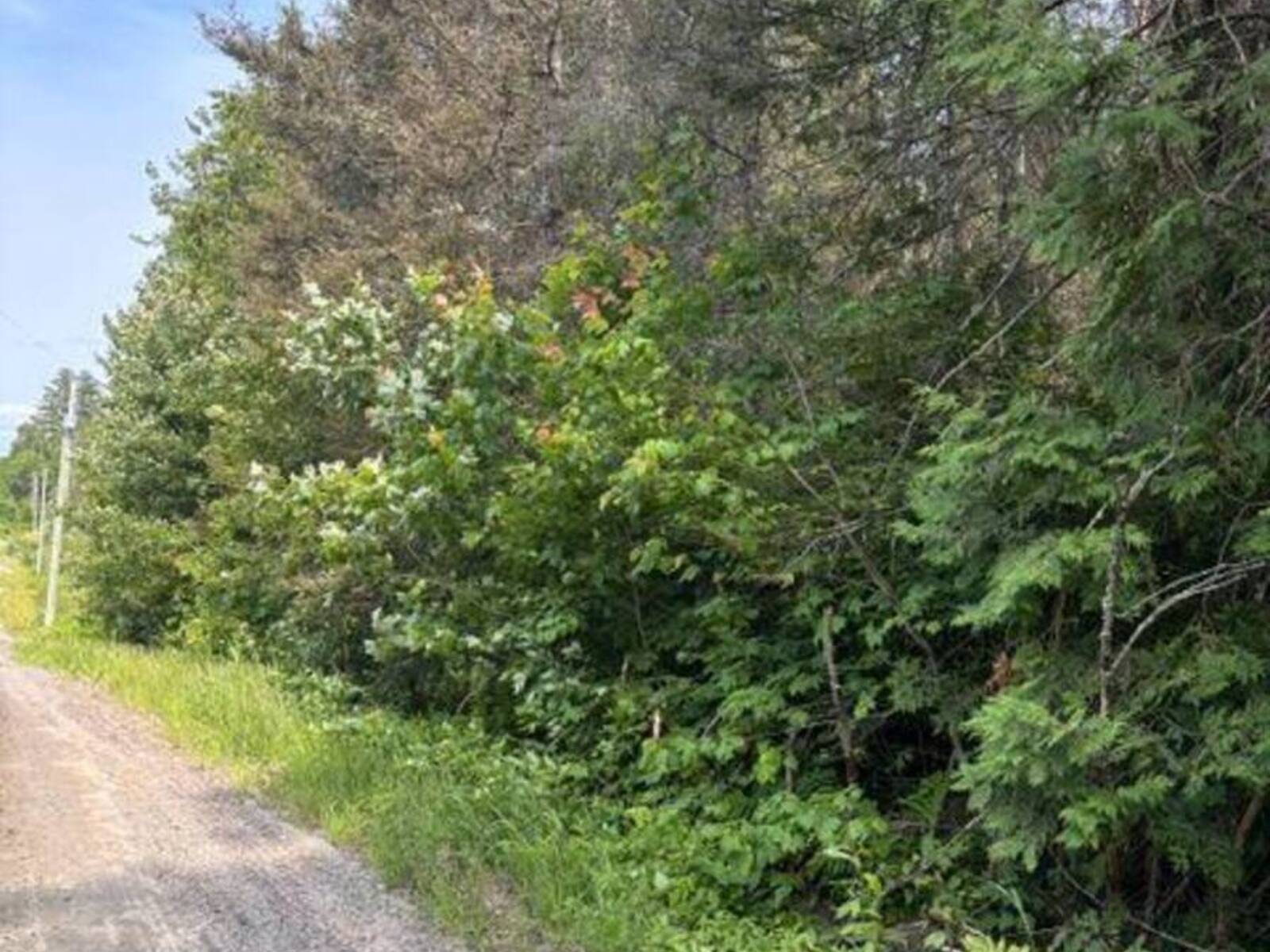 1A PT LT 12 CON 2 BOUNDARY ROAD, Parry Sound, Ontario P0A 1X0