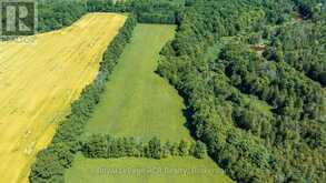 404683 GREY ROAD 4 | Priceville Ontario | Slide Image Forty-three