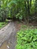 LOT 70 25TH LINE | Algonquin Highlands Ontario | Slide Image Five