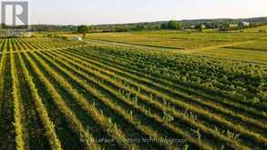 357065 THE BLUE MOUNTAINS MEAFORD TOWNLINE ROAD | Thornbury Ontario | Slide Image Nineteen