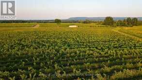 357065 THE BLUE MOUNTAINS MEAFORD TOWNLINE ROAD | Thornbury Ontario | Slide Image Thirty-one