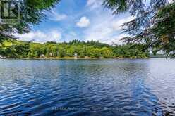 1024 TARPAPER TRAIL | Haliburton Ontario | Slide Image Ten
