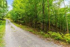 1024 TARPAPER TRAIL | Haliburton Ontario | Slide Image Eleven
