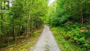 1024 TARPAPER TRAIL | Haliburton Ontario | Slide Image Twelve
