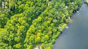 1024 TARPAPER TRAIL | Haliburton Ontario | Slide Image Seventeen