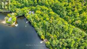 1024 TARPAPER TRAIL | Haliburton Ontario | Slide Image Eighteen