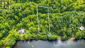 1024 TARPAPER TRAIL | Haliburton Ontario | Slide Image One