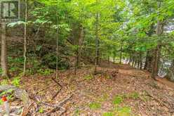 1024 TARPAPER TRAIL | Haliburton Ontario | Slide Image Four
