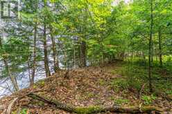 1024 TARPAPER TRAIL | Haliburton Ontario | Slide Image Seven