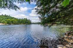 1024 TARPAPER TRAIL | Haliburton Ontario | Slide Image Eight