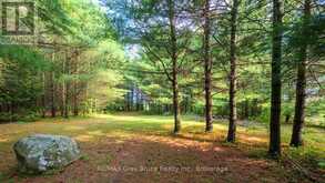 70183 ZION CHURCH ROAD | Georgian Bluffs Ontario | Slide Image Twenty-nine