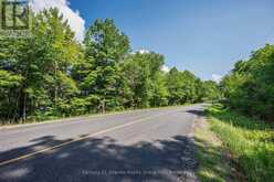0 KASHAGAWIGAMOG LAKE ROAD | Minden Hills Ontario | Slide Image Eight