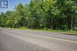 0 KASHAGAWIGAMOG LAKE ROAD | Minden Hills Ontario | Slide Image Nine
