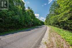 0 KASHAGAWIGAMOG LAKE ROAD | Minden Hills Ontario | Slide Image Twenty-one