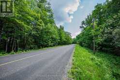 0 KASHAGAWIGAMOG LAKE ROAD | Minden Hills Ontario | Slide Image Twenty-two