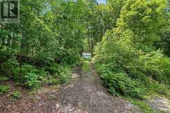 1201 WENONA LAKE ROAD | Haliburton Ontario | Slide Image Thirty-four