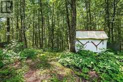 1201 WENONA LAKE ROAD | Haliburton Ontario | Slide Image Thirty-five
