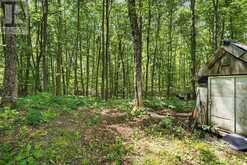 1201 WENONA LAKE ROAD | Haliburton Ontario | Slide Image Thirty-seven