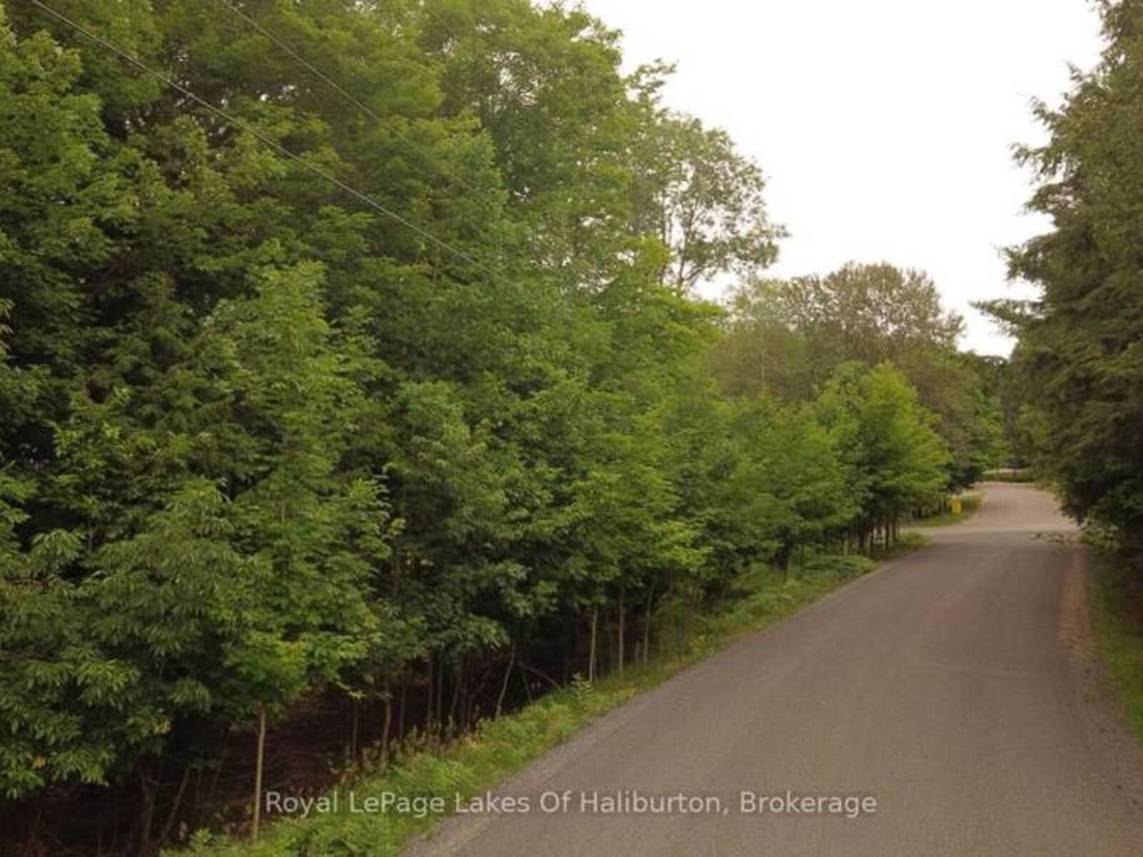 0 DOME STREET, Haliburton, Ontario K0M 1S0