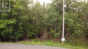 0 DOME STREET | Haliburton Ontario | Slide Image Six