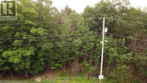 0 DOME STREET | Haliburton Ontario | Slide Image Seven
