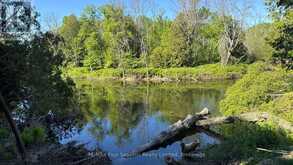 130 JEWEL BRIDGE ROAD | Sauble Beach Ontario | Slide Image Five