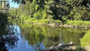 130 JEWEL BRIDGE ROAD | Sauble Beach Ontario | Slide Image Seven