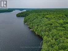 102 BLACKSTONE LAKE WATER | The Archipelago Ontario | Slide Image Twenty-three