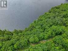 102 BLACKSTONE LAKE WATER | The Archipelago Ontario | Slide Image Twenty-four
