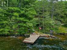 102 BLACKSTONE LAKE WATER | The Archipelago Ontario | Slide Image Thirty
