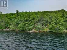 102 BLACKSTONE LAKE WATER | The Archipelago Ontario | Slide Image Thirty-two