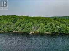 102 BLACKSTONE LAKE WATER | The Archipelago Ontario | Slide Image Thirty-eight