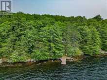 102 BLACKSTONE LAKE WATER | The Archipelago Ontario | Slide Image Thirty-nine
