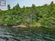 102 BLACKSTONE LAKE WATER | The Archipelago Ontario | Slide Image Forty