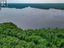 102 BLACKSTONE LAKE WATER | The Archipelago Ontario | Slide Image Forty-one
