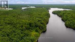 60WA GOOSENECK LAKE | Whitestone Ontario | Slide Image Seventeen