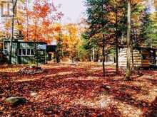 60WA GOOSENECK LAKE | Whitestone Ontario | Slide Image Nineteen