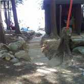 60WA GOOSENECK LAKE | Whitestone Ontario | Slide Image Twenty-two