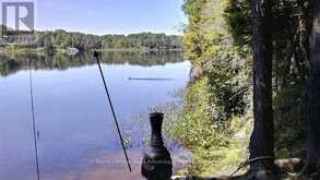 60WA GOOSENECK LAKE | Whitestone Ontario | Slide Image Twenty-seven