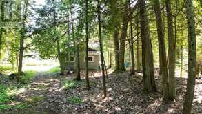 76 BURMA ROAD | Lion's Head Ontario | Slide Image Seven