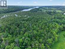 403211 CONCESSION RD 20, GEORGIAN BLUFFS CONCESSION | Georgian Bluffs Ontario | Slide Image Eight